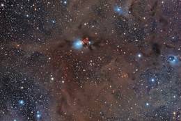 Reflection nebula NGC 1333, constellation Perseus