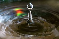 This is a fine example for the globular shape of drops, described in the information text.