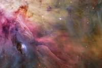 Orion Nebula Details