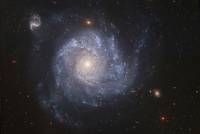 Spiral Galaxy NGC 1309 in the Constellation Eridanus