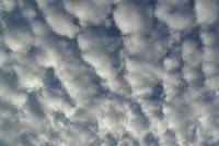 Altocumulus forming a dense layer