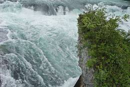 Rhine Falls: strength, motion and freshness