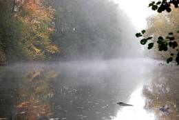 Autumn morning: after the first cold night waft of mist rise from the water.