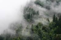 Fog at the hillside in the Steiermark, Austria