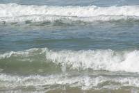 Waves observed from the beach