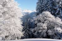 Valzeina - winter landscape