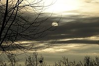Spring morning with clouds