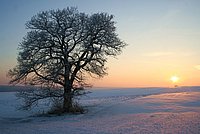 Winter afternoon in the Administrative District Zwickau
