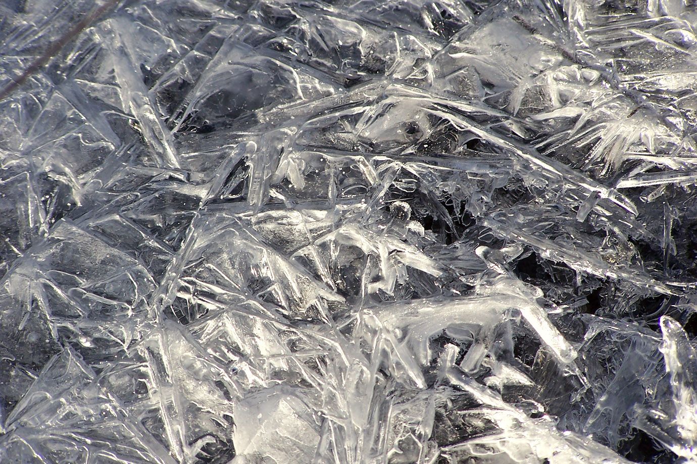 The ice forms bizzare structures