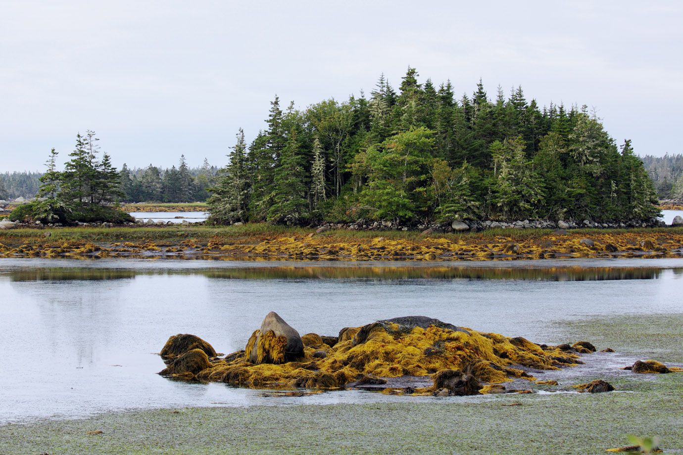Bay during ebb tide, Nova Scotia, Canada Bay during ebb tide, Nova Scotia, Canada