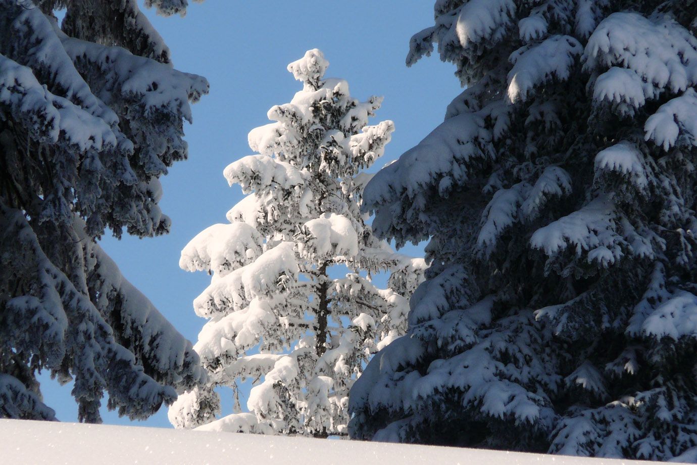 Winter in the Swiss Mountains Winter in the Swiss Mountains