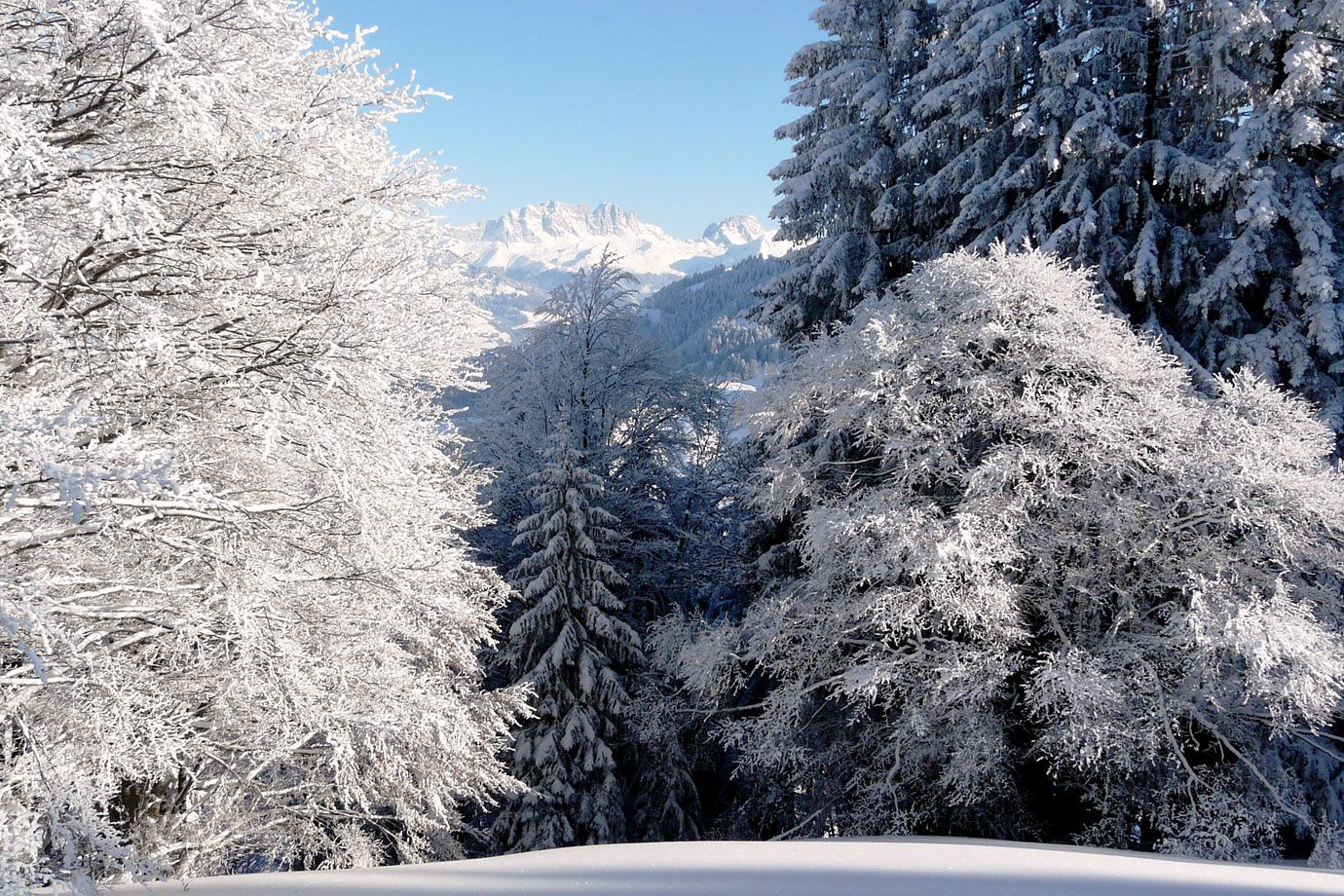 Valzeina - winter landscape Valzeina - winter landscape