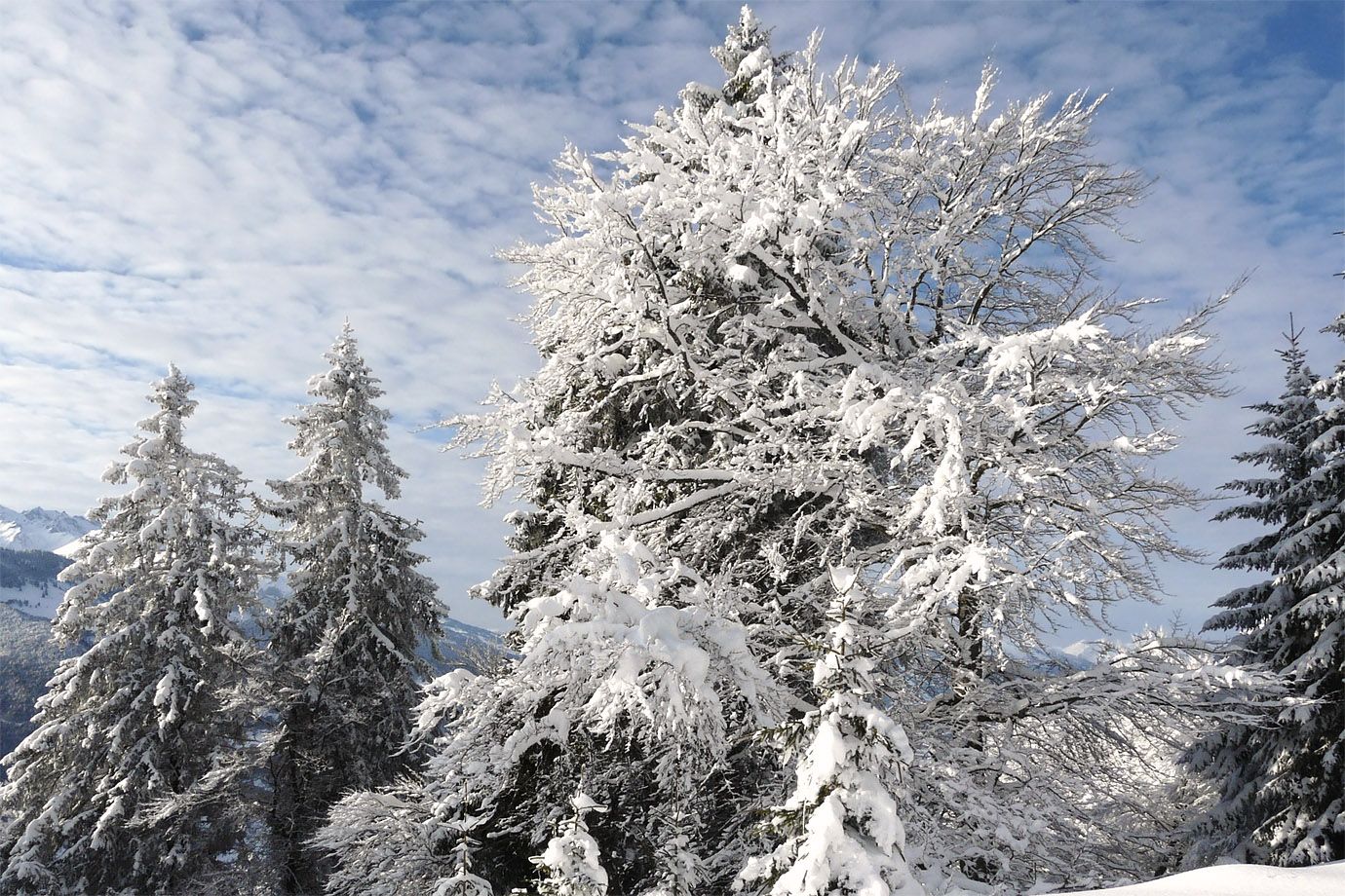 Winter Landscape near Valzeina, Switzerland