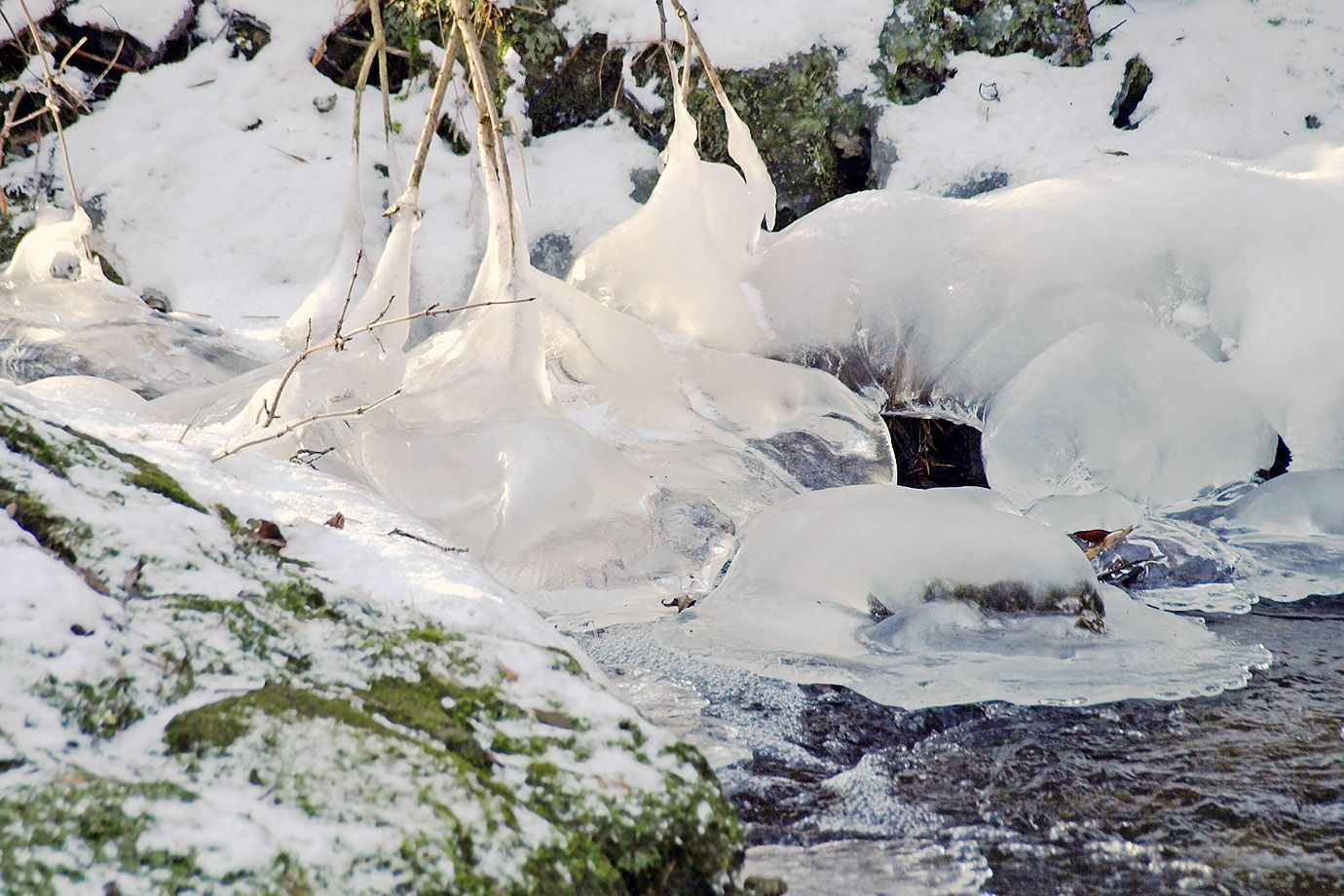 Frozen creek Frozen creek