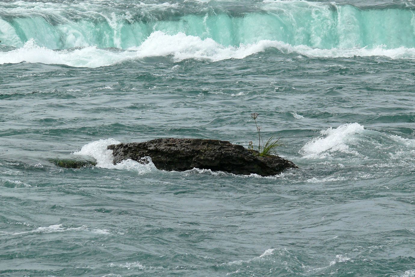 Growth in stream current and rock Growth in stream current and rock