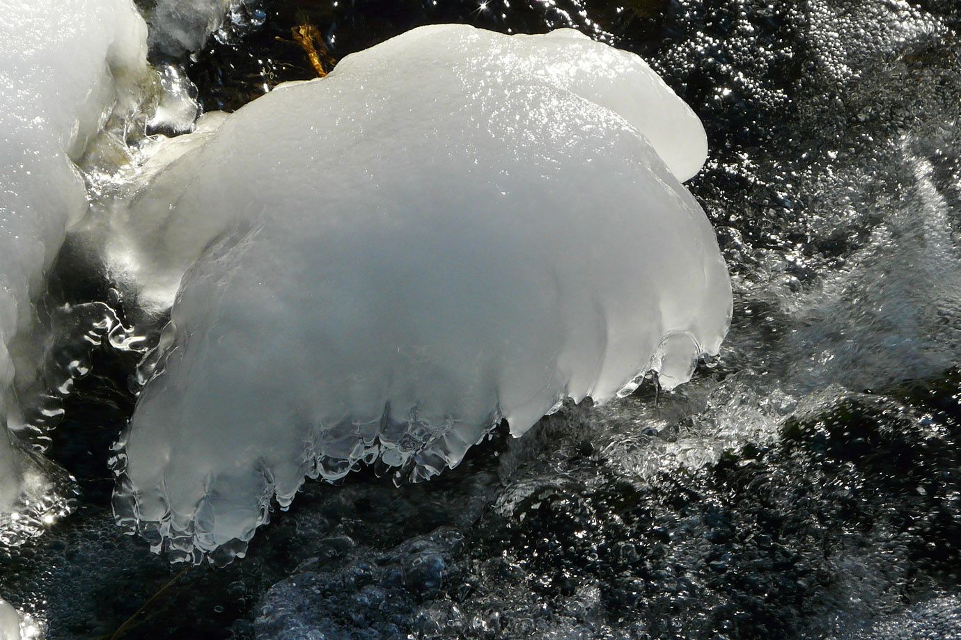 Ice cap in the winterly creek Ice cap in the winterly creek