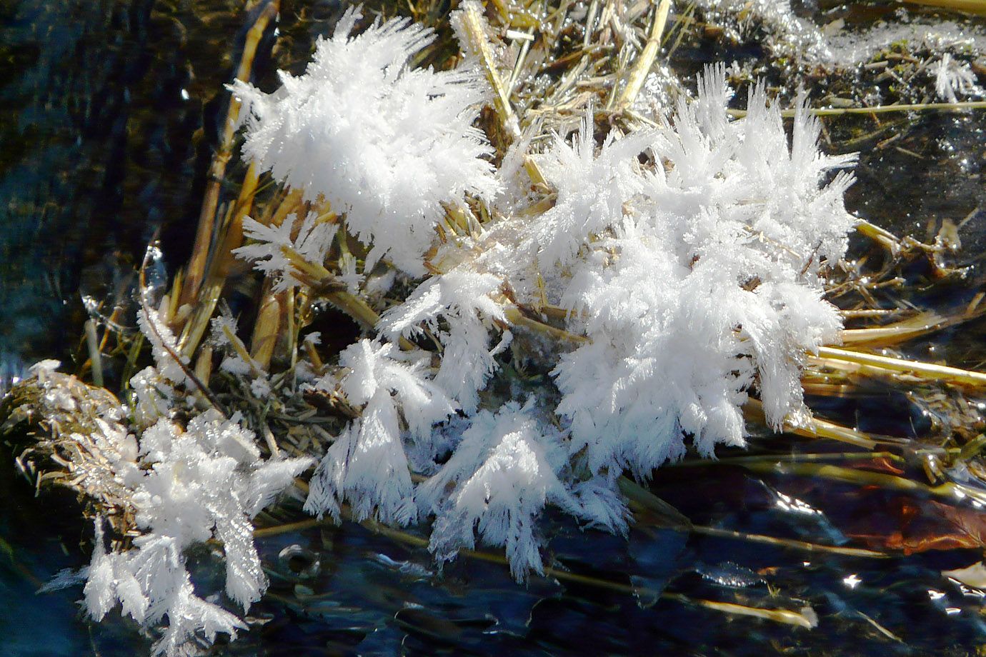 Ice figures in the winterly creek Ice figures in the winterly creek